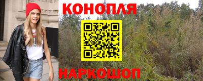 индика Краснодар