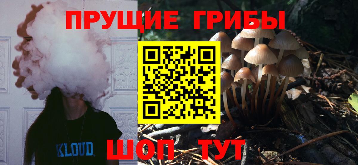 Галлюциногенные грибы Magic Shrooms  Псилоцибиновые грибы Cubensis  Королёв  Вход с VPN 